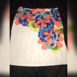 Women’s Knee length Skirt